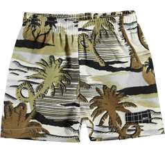 Solar Shorts